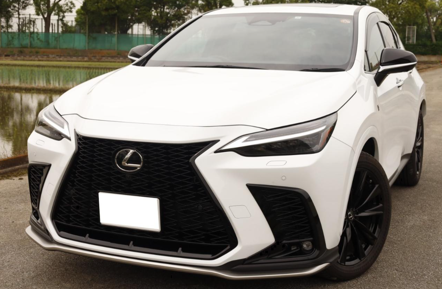 Screenshot 2026-03-26 014451